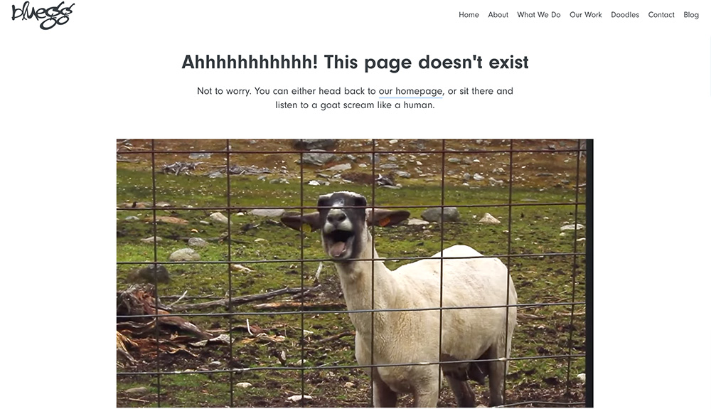 Bluegg Error Seite