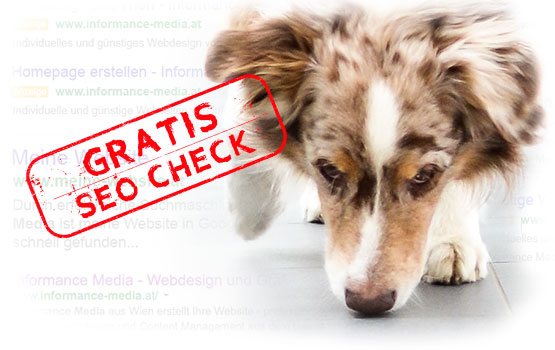 Gratis SEO Check